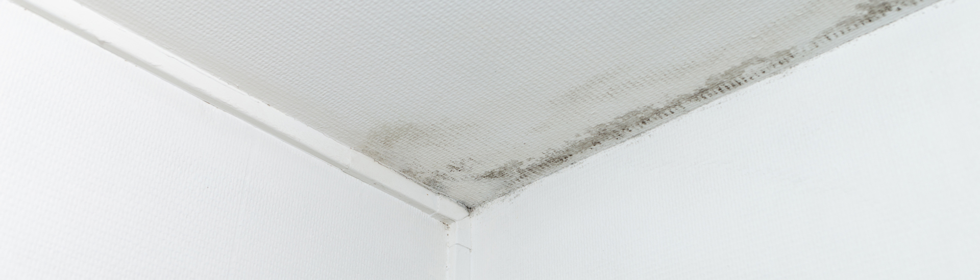 Thermal Bridge-SkamoWall.jpg
